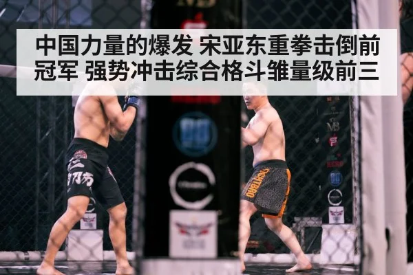 MMA cage fight action